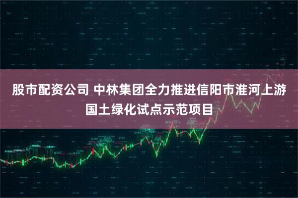 股市配资公司 中林集团全力推进信阳市淮河上游国土绿化试点示范项目